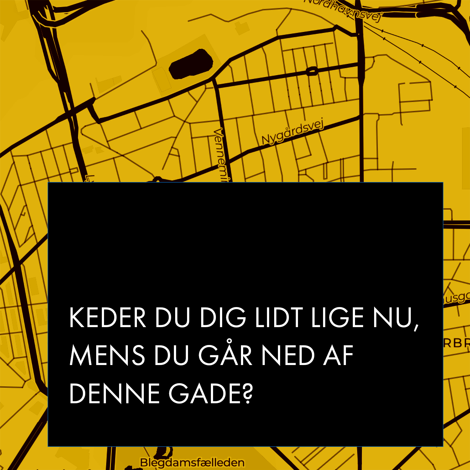 Keder du dig lidt lige nu, mens du går ned af denne gade? af Katrine Weber, Ine Urheim